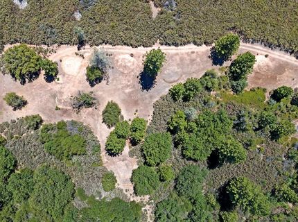 12336 Scott Rd, Sheep Ranch, CA 95246 Photo