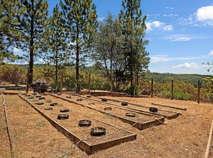 12336 Scott Rd, Sheep Ranch, CA 95246 Photo