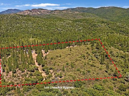 12336 Scott Rd, Sheep Ranch, CA 95246 Photo