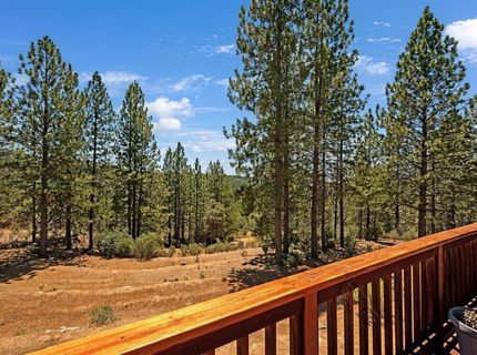 12336 Scott Rd, Sheep Ranch, CA 95246 Photo