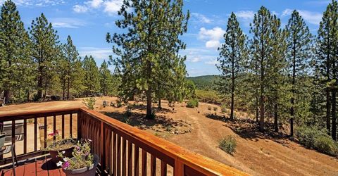 12336 Scott Rd, Sheep Ranch, CA 95246 Photo