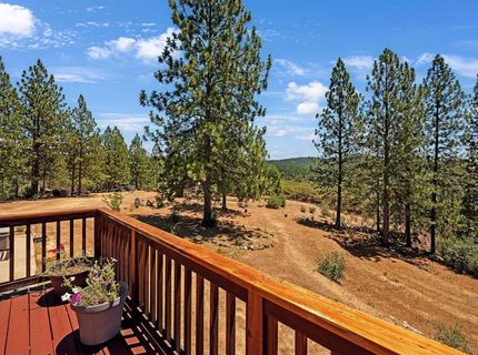 12336 Scott Rd, Sheep Ranch, CA 95246 Photo