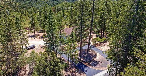 12336 Scott Rd, Sheep Ranch, CA 95246 Photo