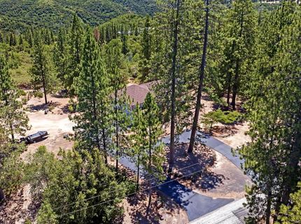 12336 Scott Rd, Sheep Ranch, CA 95246 Photo