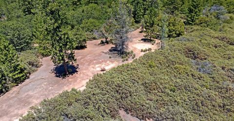 12336 Scott Rd, Sheep Ranch, CA 95246 Photo