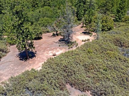 12336 Scott Rd, Sheep Ranch, CA 95246 Photo