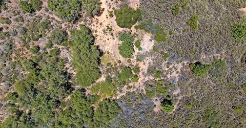 12336 Scott Rd, Sheep Ranch, CA 95246 Photo