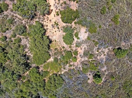 12336 Scott Rd, Sheep Ranch, CA 95246 Photo