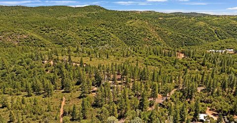 12336 Scott Rd, Sheep Ranch, CA 95246 Photo