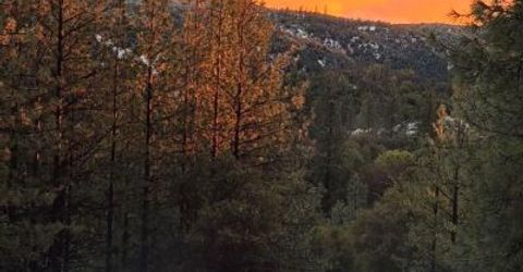 12336 Scott Rd, Sheep Ranch, CA 95246 Photo