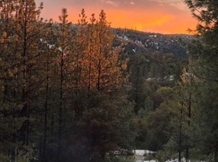 12336 Scott Rd, Sheep Ranch, CA 95246 Photo