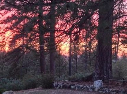 12336 Scott Rd, Sheep Ranch, CA 95246 Photo
