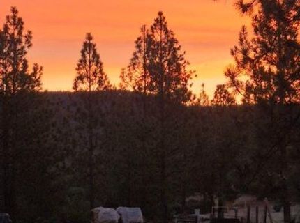 12336 Scott Rd, Sheep Ranch, CA 95246 Photo