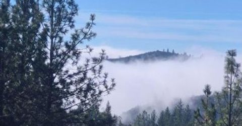 12336 Scott Rd, Sheep Ranch, CA 95246 Photo