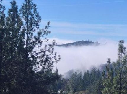 12336 Scott Rd, Sheep Ranch, CA 95246 Photo