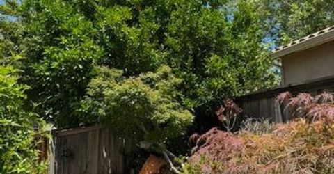 9245 Pinehurst Dr, Roseville, CA 95747 Photo