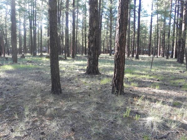 7606 E JOLLY ROGUE Lane, Unit 162, Williams, AZ 86046