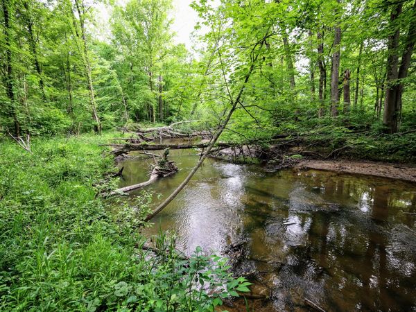 VL Black River Rd, Bangor, MI 49013