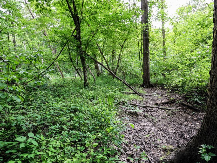 Property Image 13