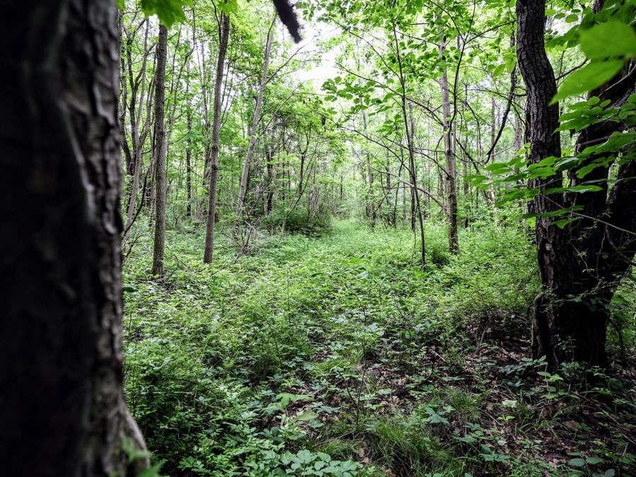 Property Image 19