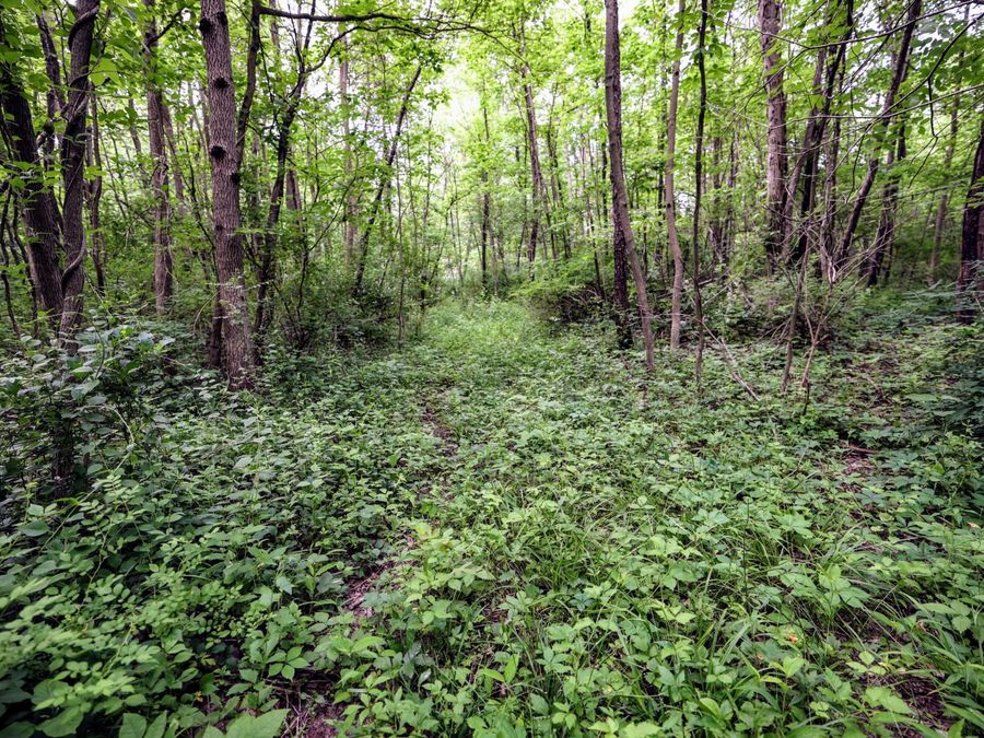 Property Image 21