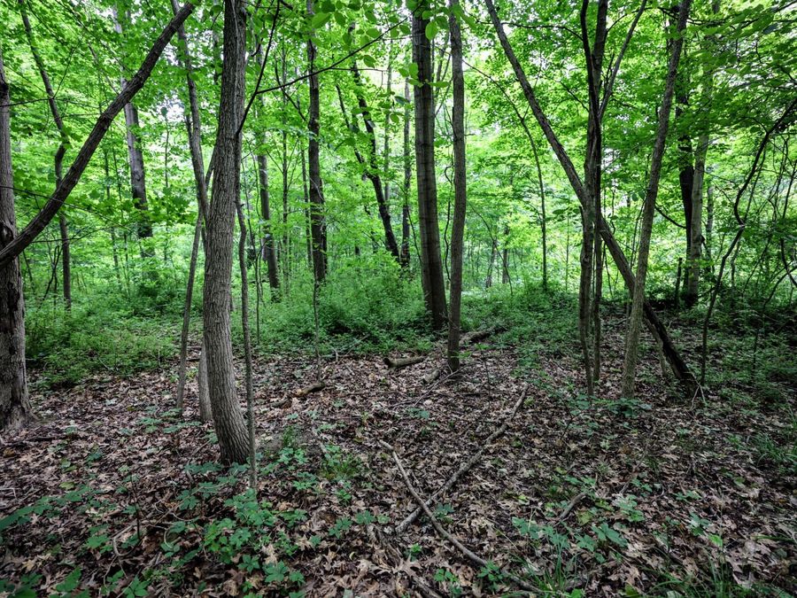 Property Image 27