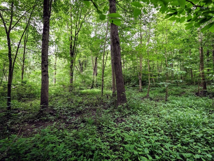 Property Image 37