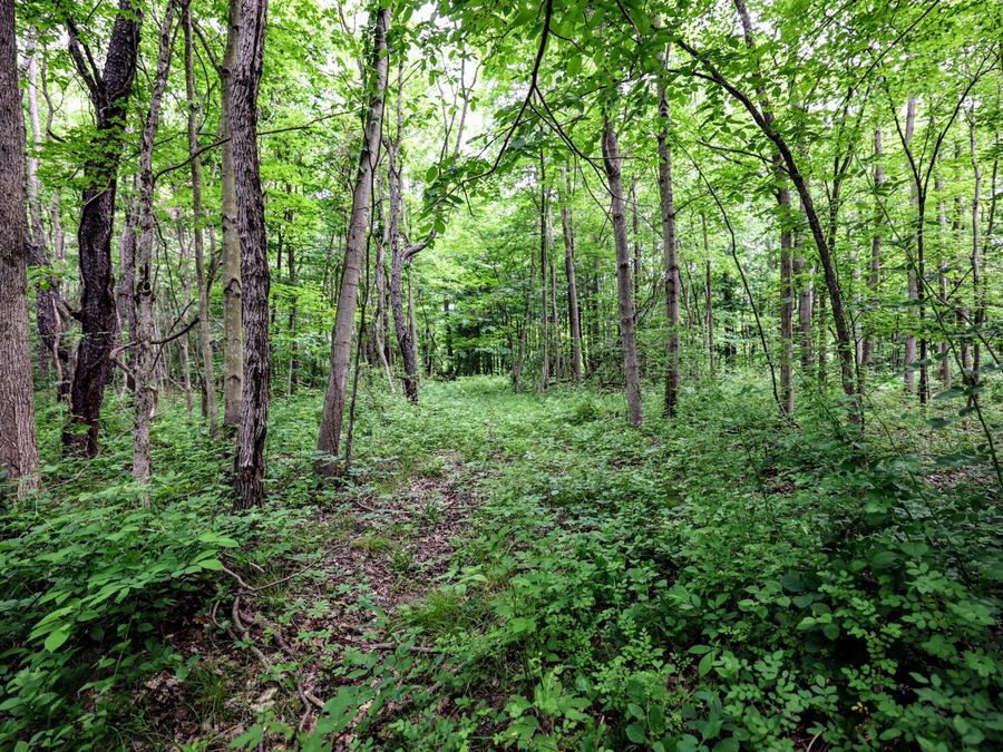 Property Image 50
