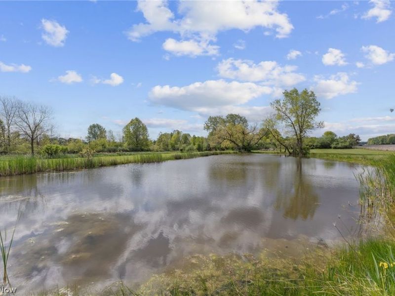 8120 Crow Road, Litchfield, OH 44253 Photo 9