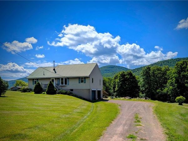 1510 Town Brook Road, Hobart, NY 13788