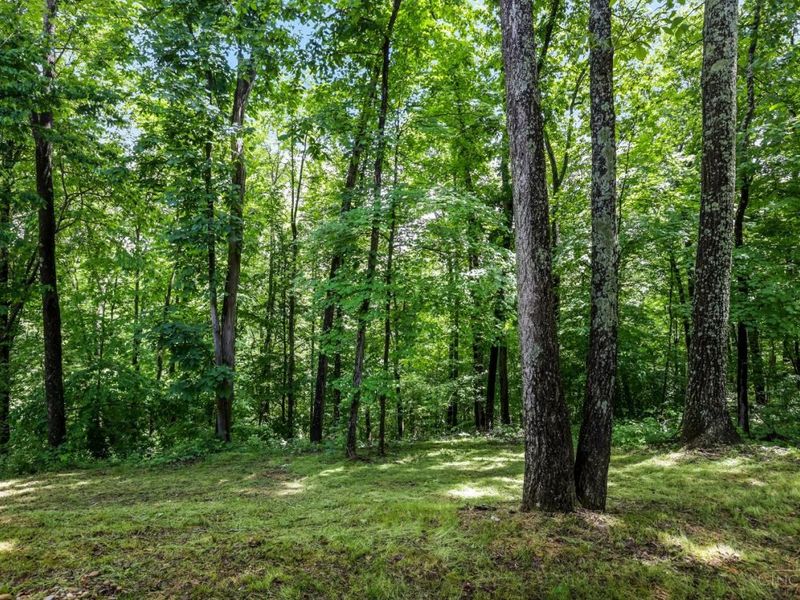 25089 Chapel Ridge Road, Benton Twp, OH 43152 Photo 53