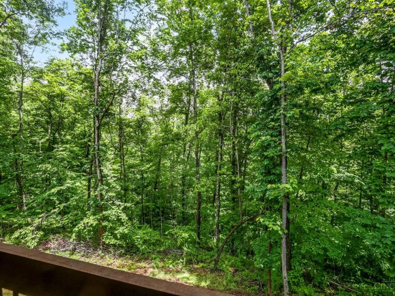 25089 Chapel Ridge Road, Benton Twp, OH 43152 Photo 68