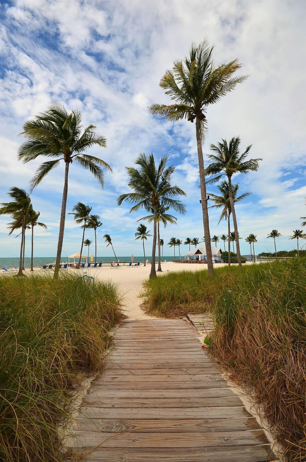 2600 Overseas Highway, Unit 5, Marathon, FL 33050 Photo