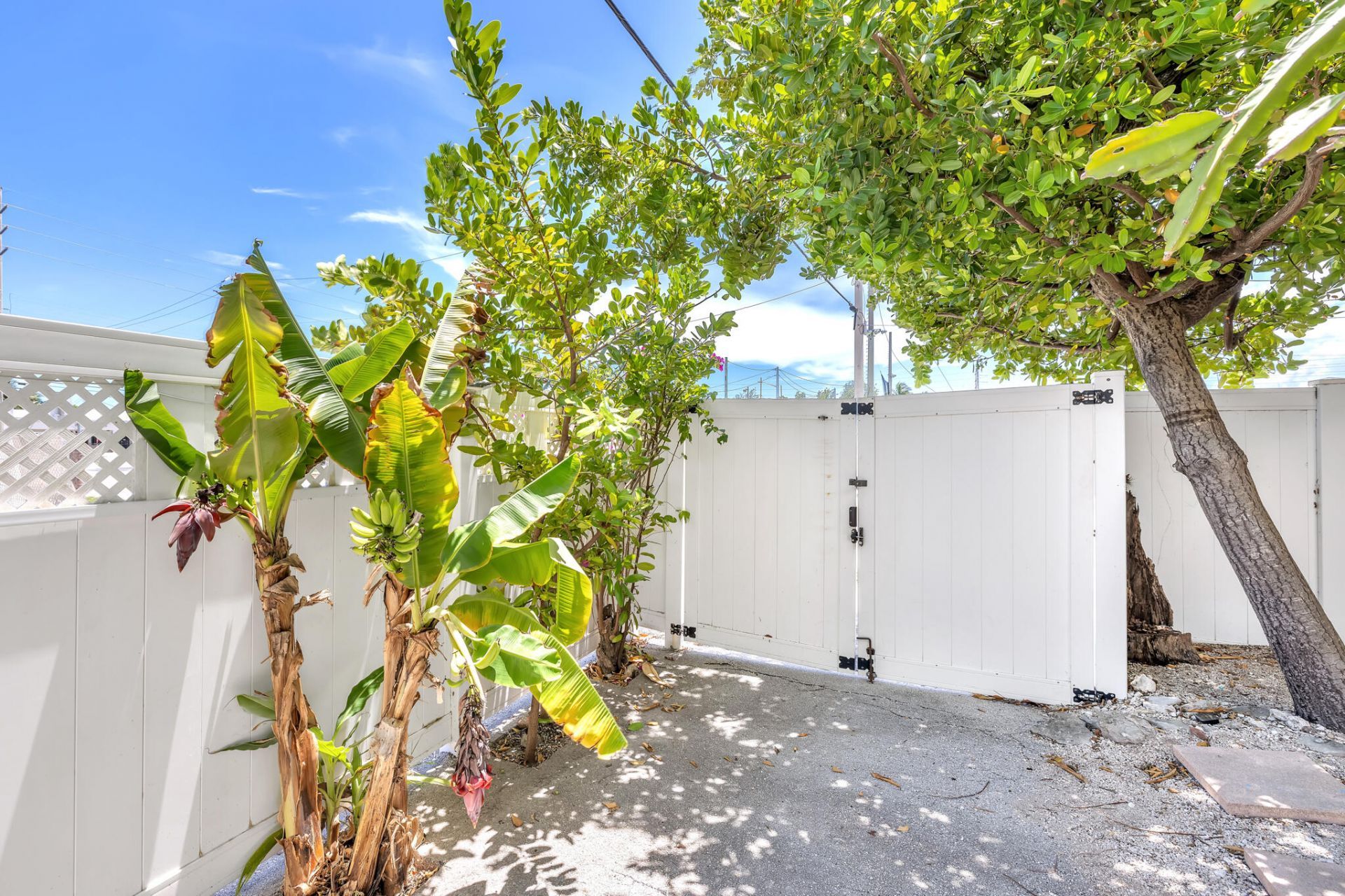 3201 Pearl Avenue, Key West, FL 33040 Photo