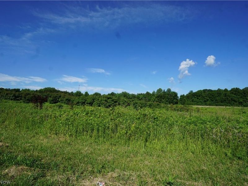 Ridge N N Ridge Road , Madison, OH 44057 Photo 4