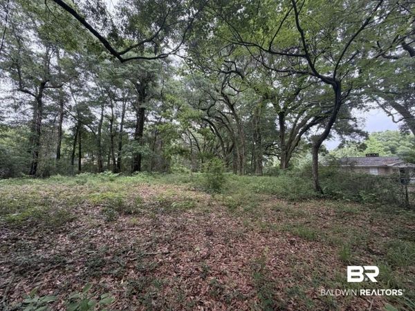 0 Highway 225, Spanish Fort, AL 36527