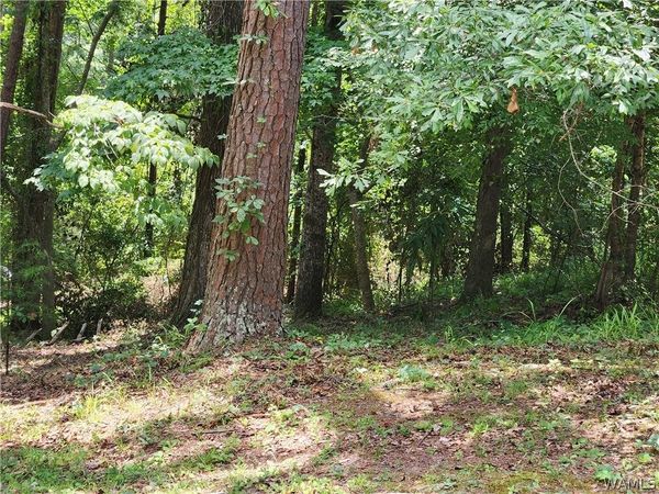 3833 Springhill Drive, Tuscaloosa, AL 35405