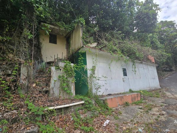 0 BO. PILETAS LARES, Lares, PR 00669