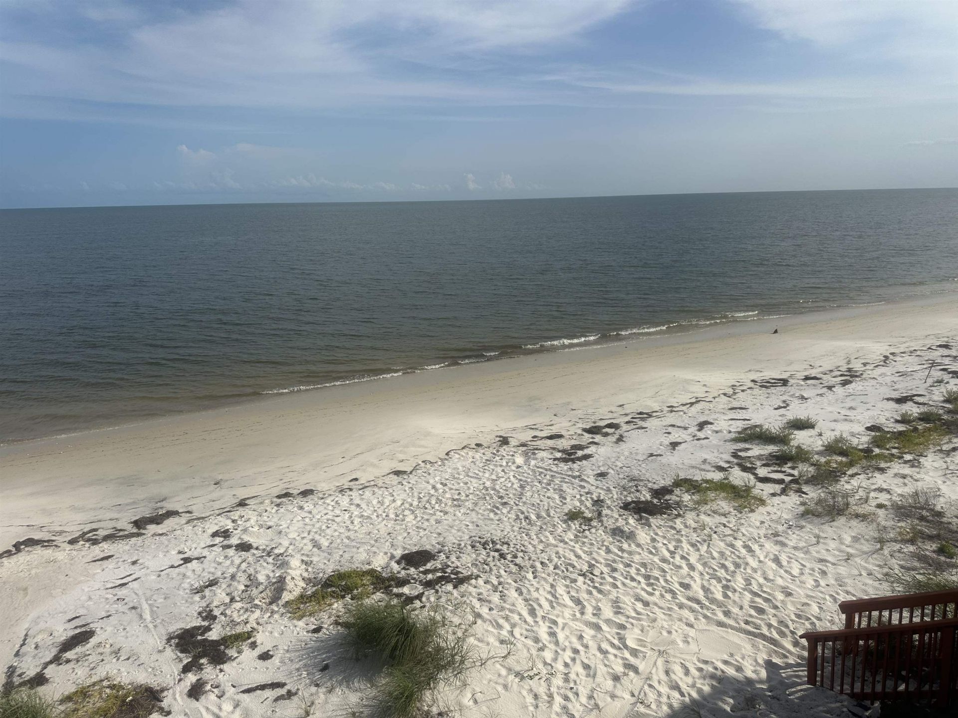 1231 Alligator Dr, Alligator Point, FL 32346 Photo