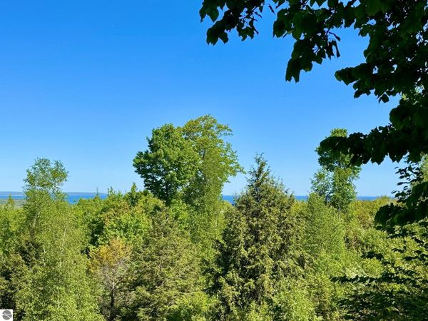 9 Harbour Ridge W, Maple City, MI 49664