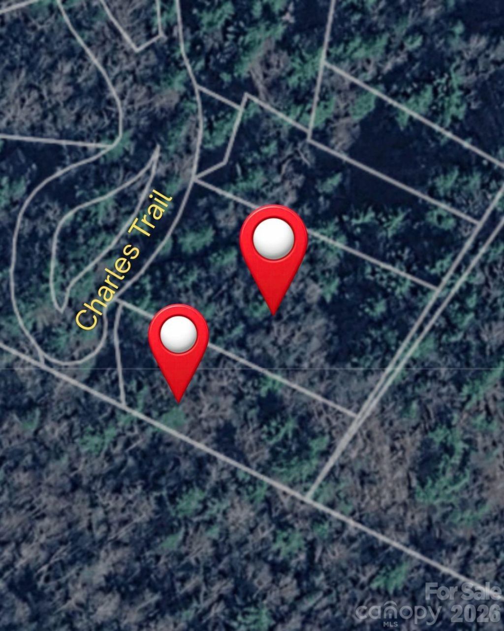 0000 Charles Trail, Hendersonville, NC 28792 Main Photo