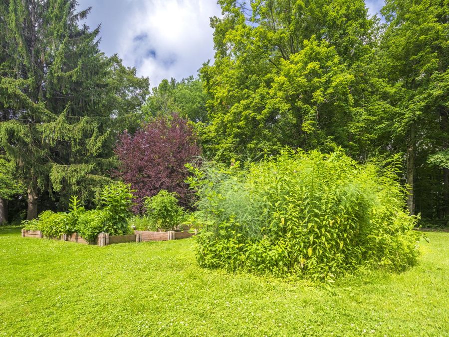 Property Image 88