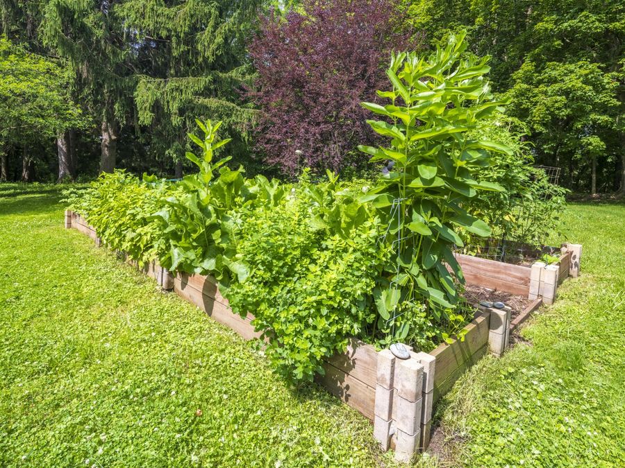 Property Image 89