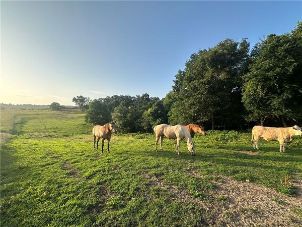 TBD Madison 7615 Road , Huntsville, AR 72740