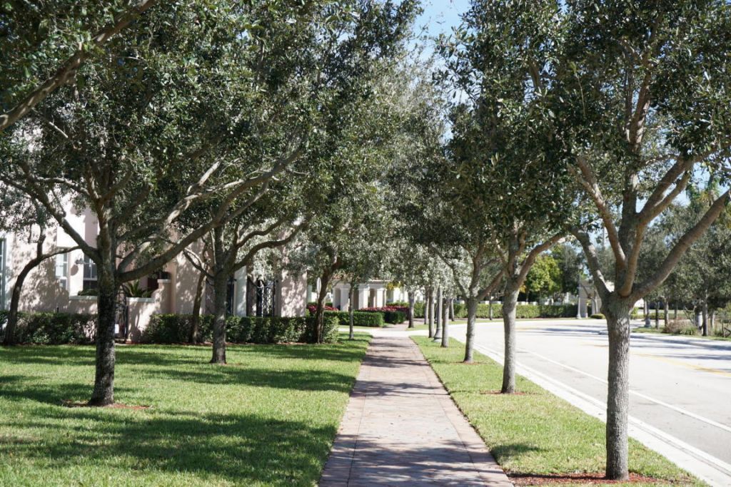 8305 NW 7th Court, Boca Raton, FL 33487 Photo