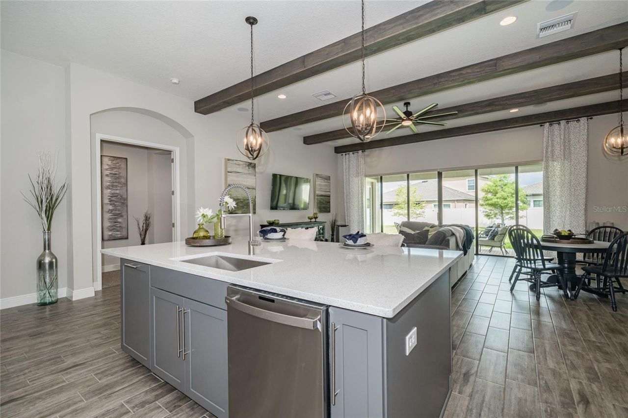 8687 Birchleaf Court Court , Land O Lakes, FL 34637 Photo