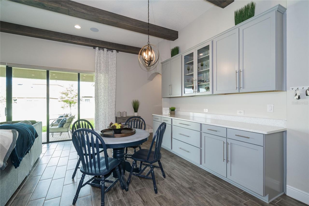8687 Birchleaf Court Court , Land O Lakes, FL 34637 Photo