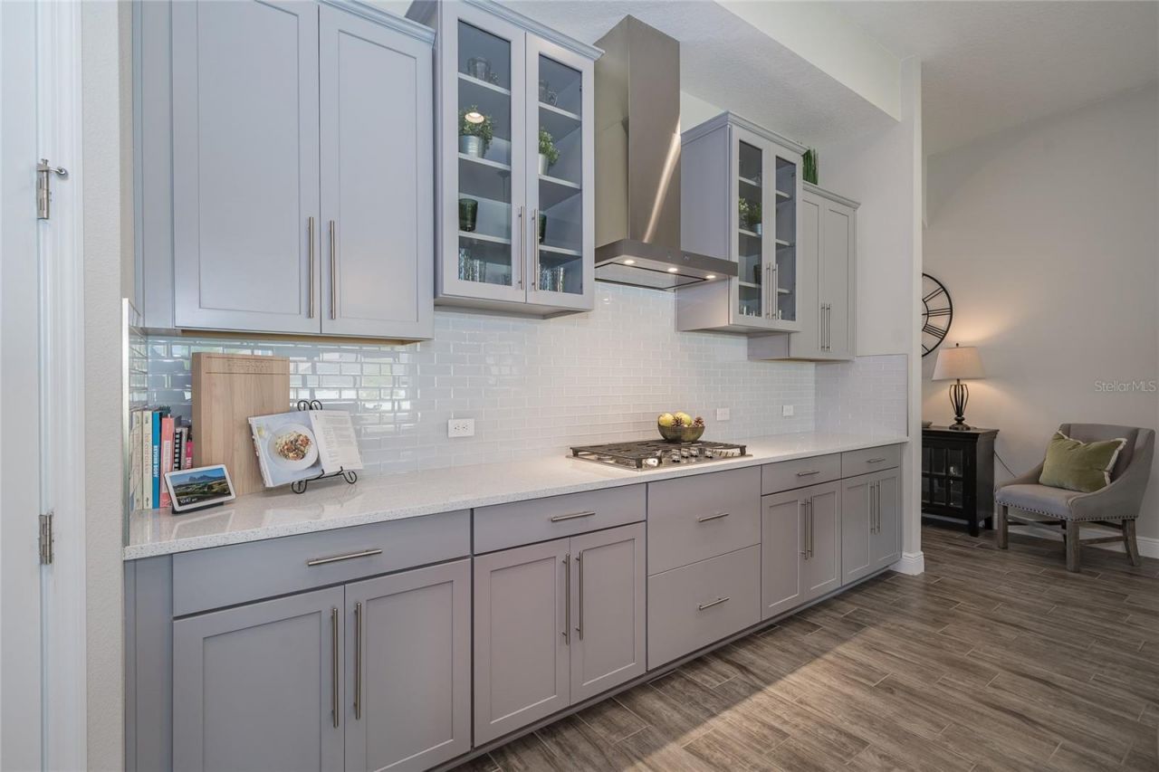 8687 Birchleaf Court Court , Land O Lakes, FL 34637 Photo