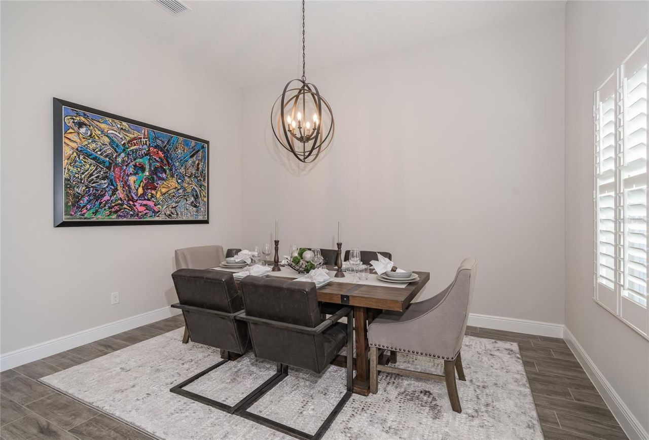 8687 Birchleaf Court Court , Land O Lakes, FL 34637 Photo
