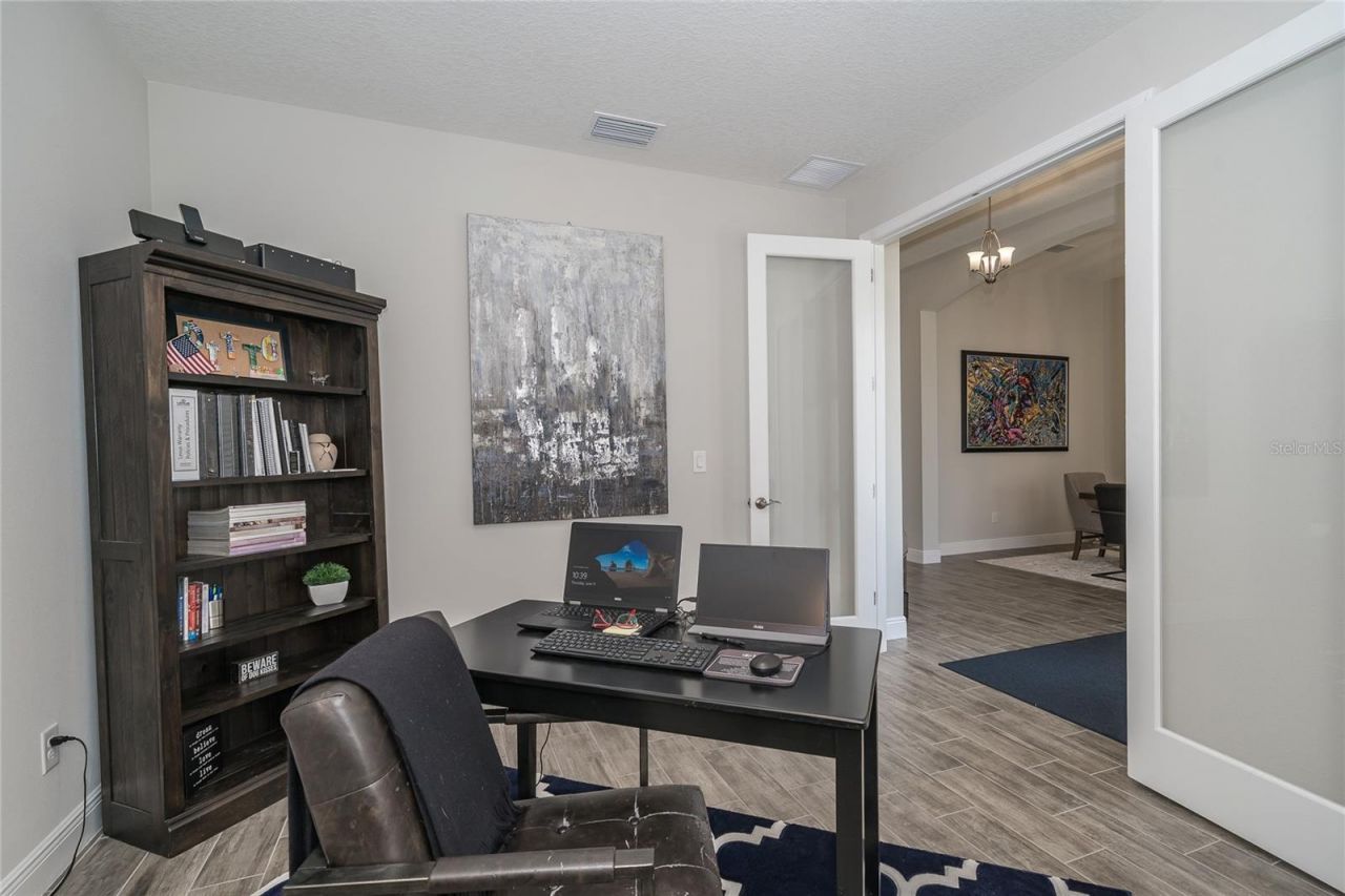 8687 Birchleaf Court Court , Land O Lakes, FL 34637 Photo